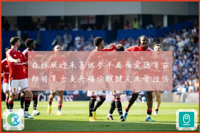森林狼迎来喜忧参半局面爱德华兹即将复出麦丹确诊髌腱炎及骨挫伤成长观察