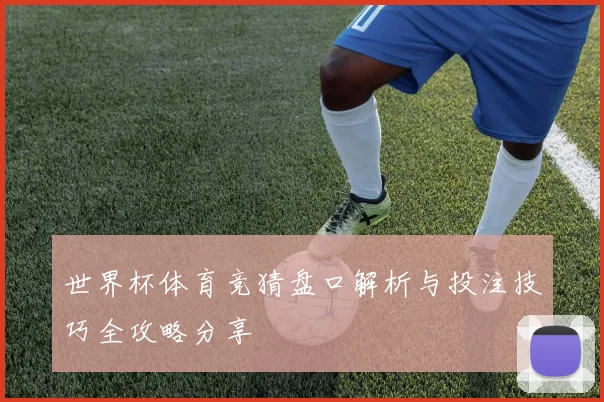 世界杯体育竞猜盘口解析与投注技巧全攻略分享