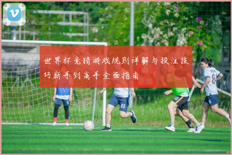 世界杯竞猜游戏规则详解与投注技巧新手到高手全面指南