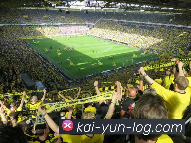 开云官网全站App